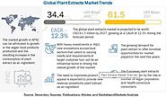 Plant Extracts Market Sizing, Emerging Trends, and New Opportunities