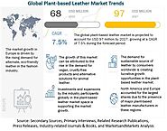 Plant-Based Leather: A Growing Global Trend - MarketsandMarkets Blog