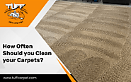 Crucial Factors Determining The Frequency Of Carpet Cleaning