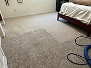 Discover the Best in Carpet Cleaning in Bakersfield CA and Save $50 Today!