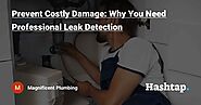 Prevent Costly Damage: Why You Need Professional Leak Detection — Magnificent Plumbing на Hashtap