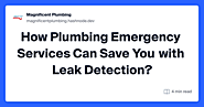 How Plumbing Emergency Services Can Save You with Leak Detection?