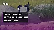 Video footage captures Israeli soldiers shooting Palestinians seeking aid from airdrop in Gaza