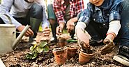 Start a Community Garden