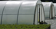 The Essential Guide to Greenhouse Polyethylene Plastic Film: Advantages, Benefits, and FAQs