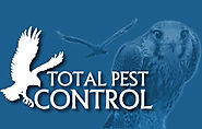 Pest Control Dublin | Rodent Control Dublin | Bird Control Dublin | Total Pest Control Dublin - Total Pest Control Du...