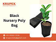 The Ultimate Guide to Black Nursery Poly Bag: A Product by Krupexindia