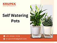 Self Watering Pots by KrupexIndia: Ultimate Solution for Effortless Plant Care