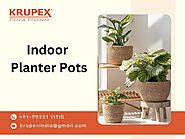 Transform Your Home with KrupexIndia's Stylish Indoor Planter Pots