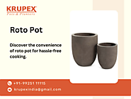 Maximize Your Plant Growth with Roto Pot: Benefits and Tips