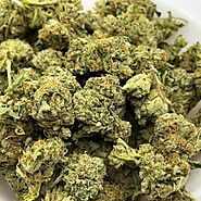 $100 oz & Under | Buy Budget Buds Online| Togo Weed