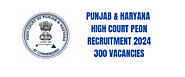 Punjab & Haryana High Court Peon Recruitment 2024 - Apply Now