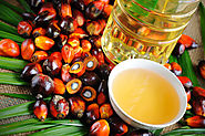 Palm Oil Market Report