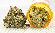 Medical Cannabis Market Report