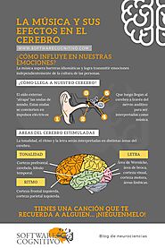 La música y sus efectos en el cerebro - Software Cognitivo | Neurociencia y educacion, Temas de psicologia, Educacion...