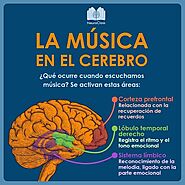 La música en el cerebro | Neurociencia y educacion, Anatomia del cerebro humano, Imagenes de psicologia