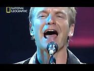 Documental "Mi Cerebro Musical" con Sting