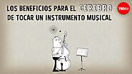 Los beneficios para el cerebro de tocar un instrumento musical - Anita Collins