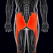 How Do You Treat Gluteal Tendonitis Pain? What It Is & What You Can Do About it