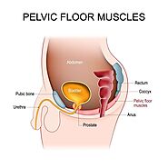 Simple & Effective Pelvic Floor Exercises for Men