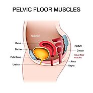 How to Tell if the Pelvic Floor Is Tight or Weak (and What You Can Do About It)