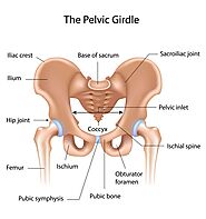 How Do I Fix Pelvic Girdle Pain? Pelvic Floor Physio Exercises