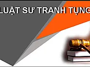 Luật Sư Tranh Tụng: "Vũ Khí Bí Mật" Cho Chiến Thắng Của Bạn