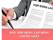 Hợp Đồng Lao Động Chuẩn 2024: Cập Nhật Bộ Luật Lao Động Mới Nhất