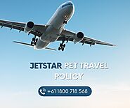 Jetstar Flight Pet Travel Policy