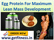 GDYNS Egg & Whey Protein Plus For Muscle Gains & Fat Loss