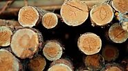 Why Kiln Dried Log Size Matters for Your Wood Burner & Fireplace