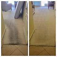 Santa Monica's Premier Carpet Cleaning