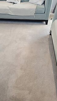 Proficient Carpet Cleaning in Los Angeles