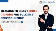 Reasons To Select Shree Tripada For Bulk SMS Service in Pune