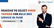 Reasons To Select Shree Tripada For Bulk SMS Service in Pune