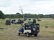 Minneriya National Park