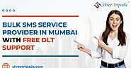 Bulk SMS Service Provider in Mumbai With Free DLT Support