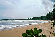 Weligama Beach