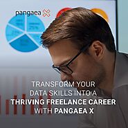 Embrace Flexibility, Engage with International Clients, and Elevate Your Data Analytics Journey with Pangaea X!