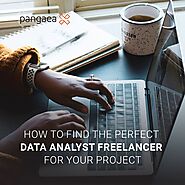 How to Find the Perfect Data Analyst Freelancer for Your Project on Pangaea X