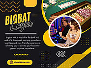 BigBat Login