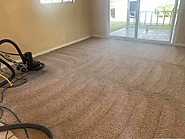 Experience Quality Carpet Cleaning in Los Angeles