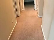 Expert Carpet Cleaning in Los Angeles