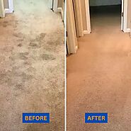 Excellent Carpet Cleaning in Los Angeles