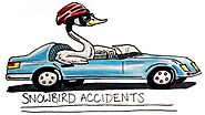 Support for Canadian Snowbirds In Florida: Car Accident and Injury Claims