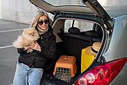 2024 Traveling with Pets to the USA