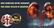 Best Ayurvedic Detox Therapies for Kidney Health in Zirakpur