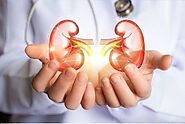 A Professional's Guide to Finding the Best Kidney Hospital Near Me in Pune - Noble Hospitals