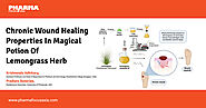 Chronic Wound Healing Properties In Magical Potion Of Lemongrass Herb