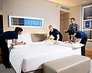  Local and International Internships